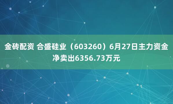 金砖配资 合盛硅业（603260）6月27日主力资金净卖出6356.73万元