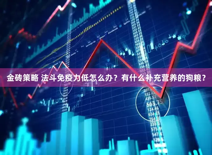 金砖策略 法斗免疫力低怎么办？有什么补充营养的狗粮？