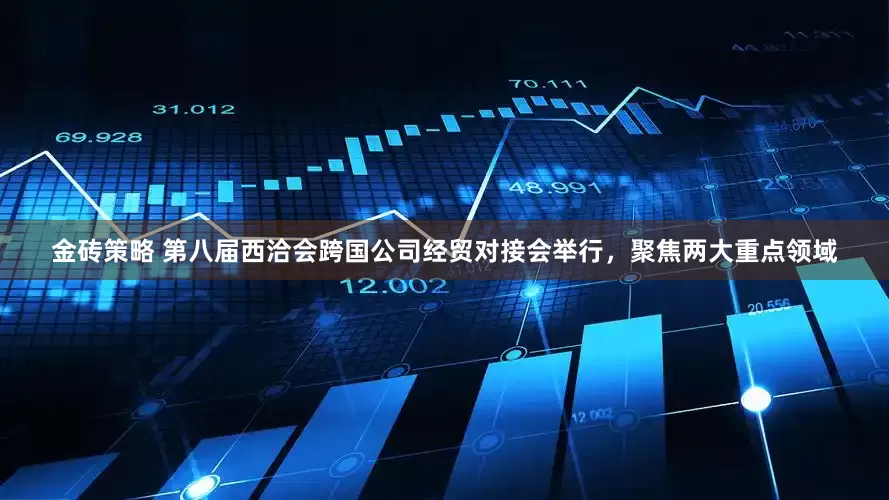 金砖策略 第八届西洽会跨国公司经贸对接会举行，聚焦两大重点领域