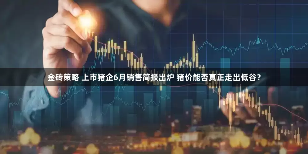 金砖策略 上市猪企6月销售简报出炉 猪价能否真正走出低谷？